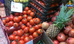 افزایش قیمت گوجه فرنگی با شروع سرما