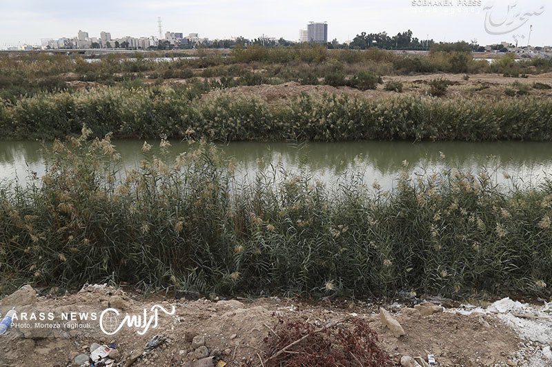 گزارش تصویری 1 / روایتی از زوال رودخانه کارون