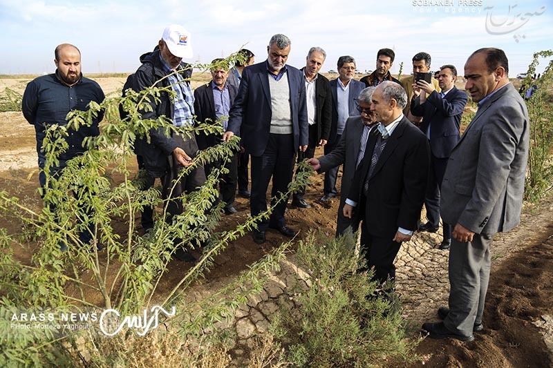 گزارش تصویری / بازدید وزیر جهاد کشاورزی از روند احیای تالاب منصوره و کانال آبرسانی به کانون های ریزگرد