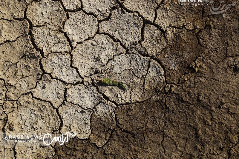 گزارش تصویری / بازدید وزیر جهاد کشاورزی از روند احیای تالاب منصوره و کانال آبرسانی به کانون های ریزگرد
