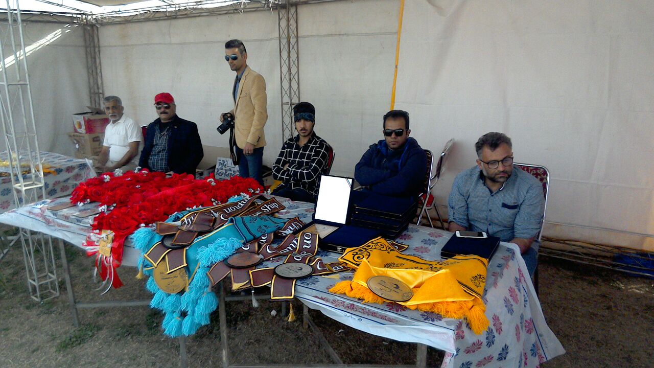 جشنواره ملی زیبایی اسب اصیل عرب خوزستان رده جهانی ایکایو برگزار شد