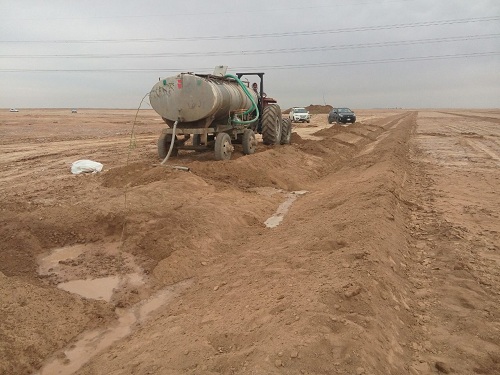 گزارش تصویری از آغاز نهال کاری در کانون داخلی ریزگردها توسط موسسه جهاد نصر