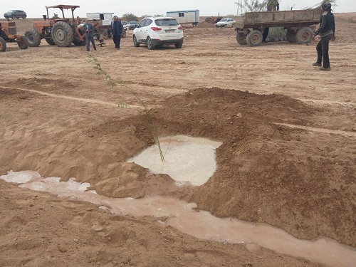 گزارش تصویری از آغاز نهال کاری در کانون داخلی ریزگردها توسط موسسه جهاد نصر
