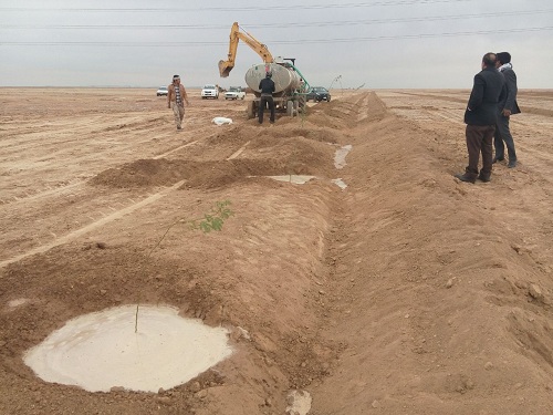گزارش تصویری از آغاز نهال کاری در کانون داخلی ریزگردها توسط موسسه جهاد نصر