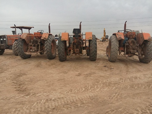 گزارش تصویری از آغاز نهال کاری در کانون داخلی ریزگردها توسط موسسه جهاد نصر