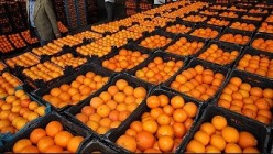 سلطه گرانی بر بازار میوه/ پرتقال جنوب کیلو 9 هزار تومان