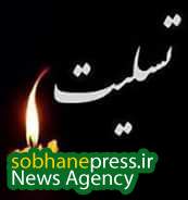 استاد حسین نجفیان بزرگ مرد طایفه شهنی