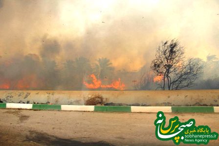 آتش سوزی در تالاب شادگان