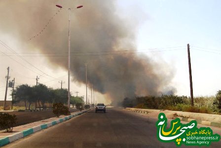 آتش سوزی در تالاب شادگان