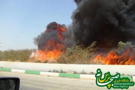 آتش سوزی در تالاب شادگان