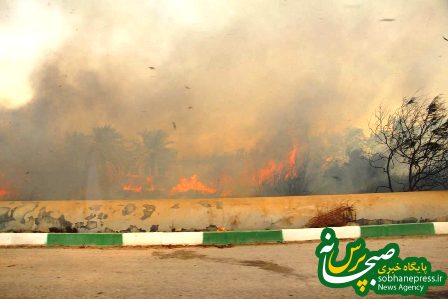 آتش سوزی در تالاب شادگان