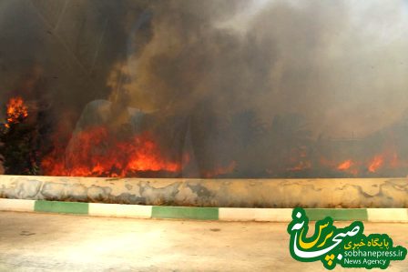 آتش سوزی در تالاب شادگان