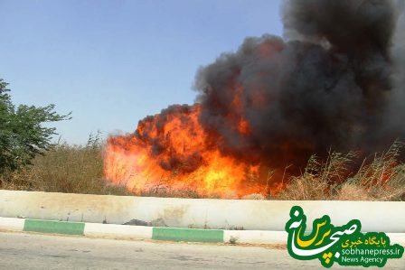 آتش سوزی در تالاب شادگان