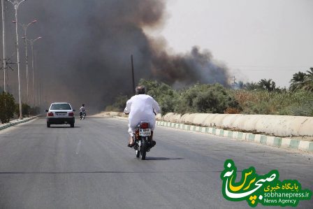 آتش سوزی در تالاب شادگان