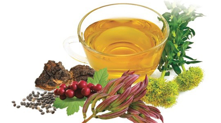 این 4 گیاهان شما را سرحال می کند