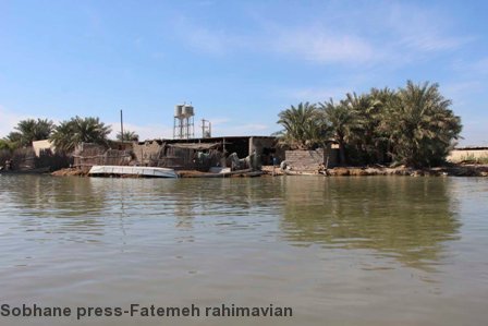 تصاویر / گشتی در تالاب شادگان