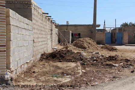 تصاویر / گشتی در تالاب شادگان