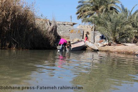 تصاویر / گشتی در تالاب شادگان