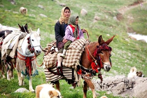 مدیر کل امور عشایر خوزستان خبرداد: ورود 140هزار نفر ازعشایر 7 استان کشور به استان