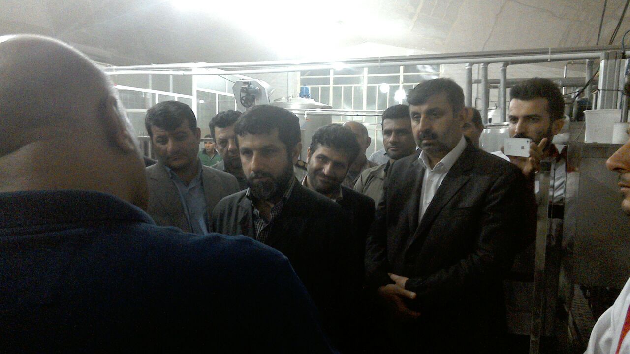 تصاویر / سفر استاندار به شهر لالی