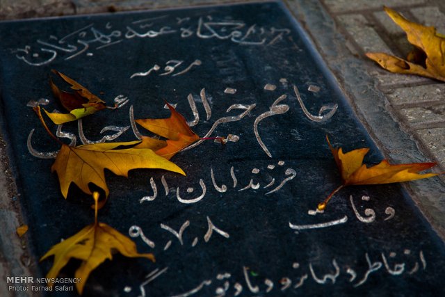 تصاویر / طبیعت پاییزی