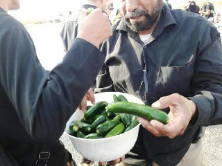تصاویر / آخرین روز از حرکت کاروان پیاده روی زائران اربعین حسینی از اهواز