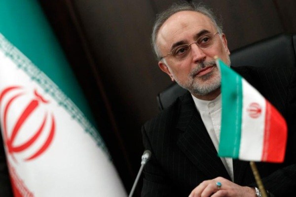 صالحی: ایران تا دو ماه آینده رسما به ایتر می پیوندد