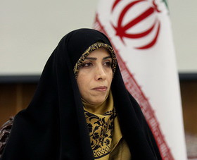امین زاده: حقوق شهروندی باید با حقوق حاکمیت هماهنگ باشد. امین زاده: حقوق شهروندی باید با حقوق حاکمیت هماهنگ باشد.