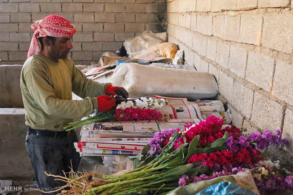 یک روز در حمیدیه