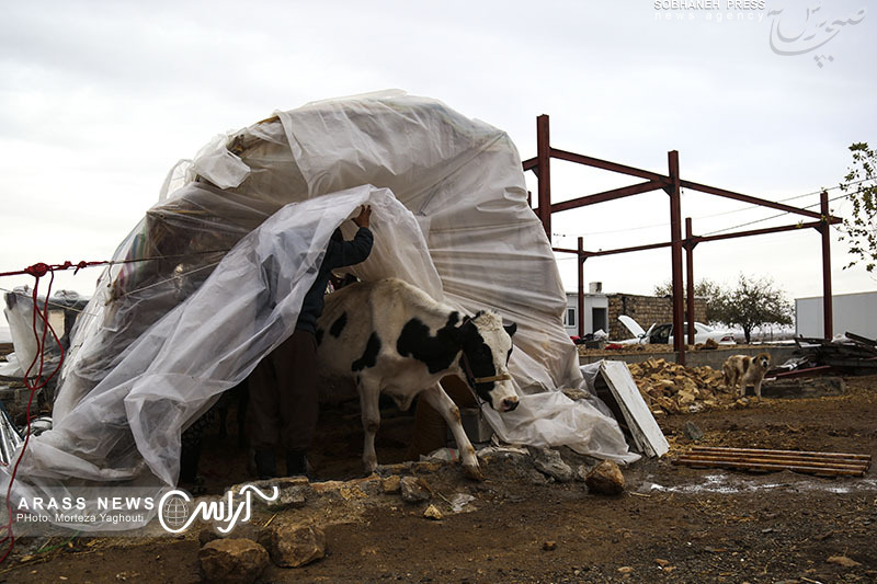 گزارش تصویری / زندگی پس از زلزله