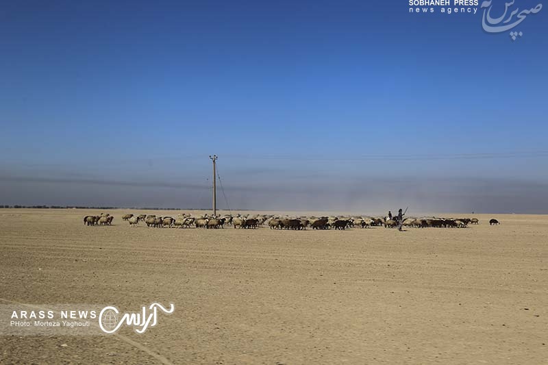 گزارش تصویری / بازدید استاندار خوزستان، مدیرکل مدیریت بحران خوزستان به همراه جمعی از مسئولین ازکانونهای ریزگردشرق اهواز