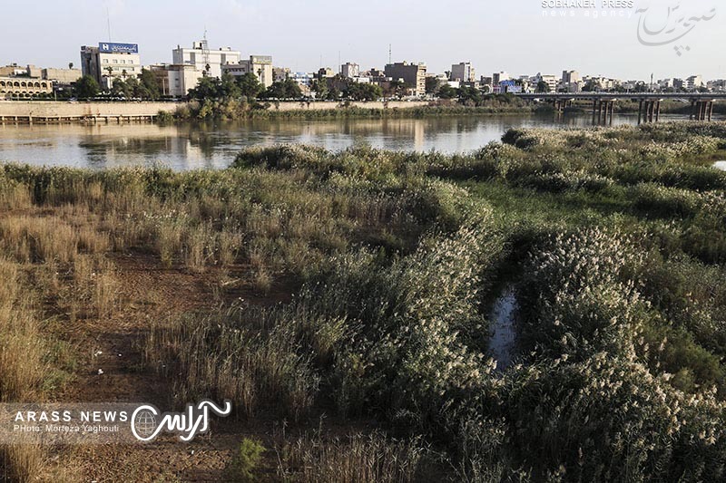 گزارش تصویری 2 / روایتی از زوال رودخانه کارون