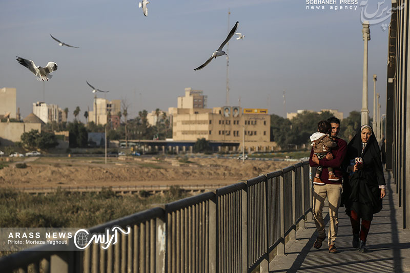 گزارش تصویری / ورود نخستین گروه از پرندگان مهاجر به ساحل کارون در اهواز