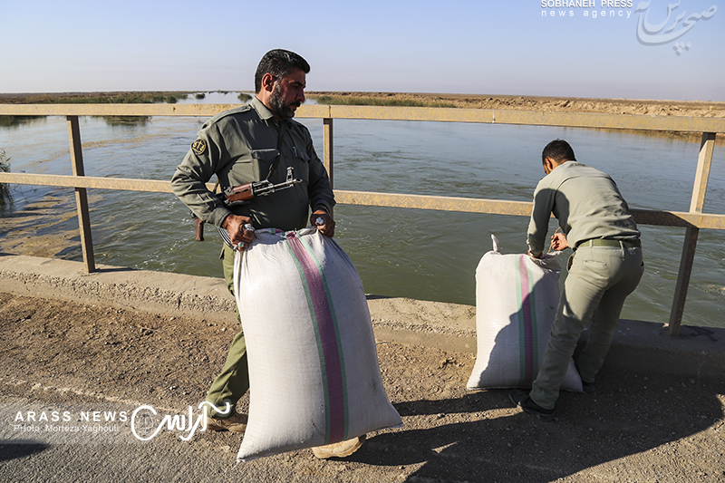 گزارش تصویری/مهاجرت پرندگان به تالاب هور العظیم