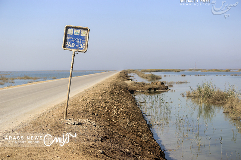 گزارش تصویری/مهاجرت پرندگان به تالاب هور العظیم