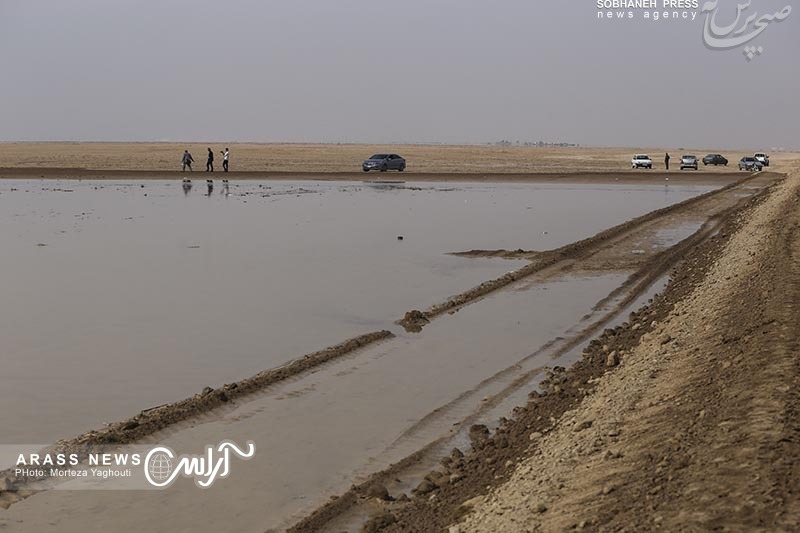 گزارش تصویری /