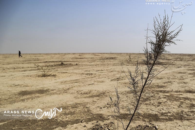 گزارش تصویری /
