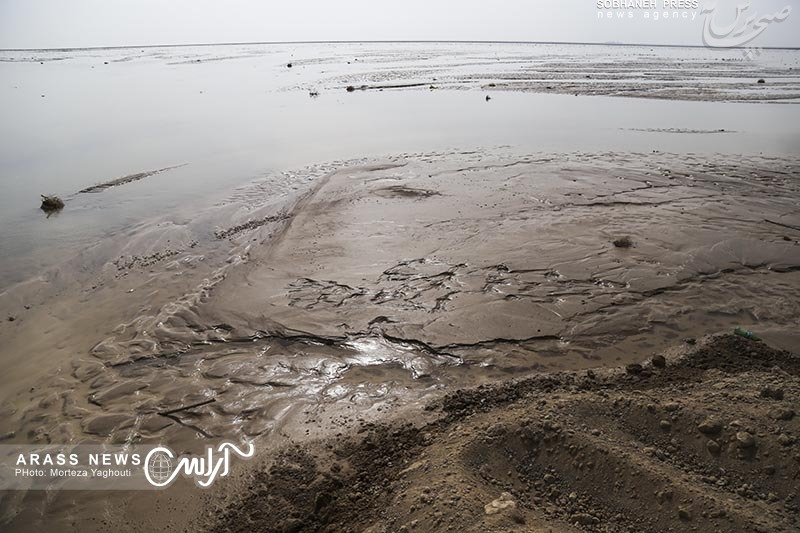 گزارش تصویری /