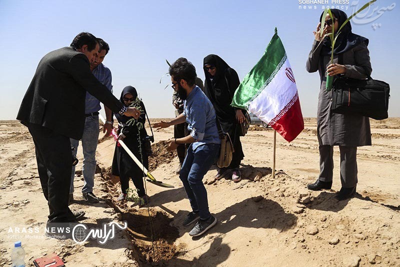 گزارش تصویری / احداث 1800 هکتار نهال کاری توسط بانک مهر اقتصاد خوزستان