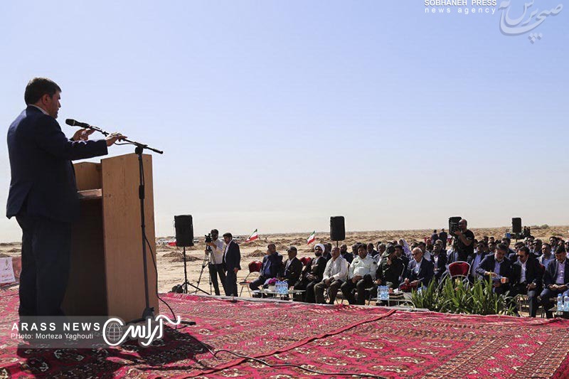 گزارش تصویری / احداث 1800 هکتار نهال کاری توسط بانک مهر اقتصاد خوزستان