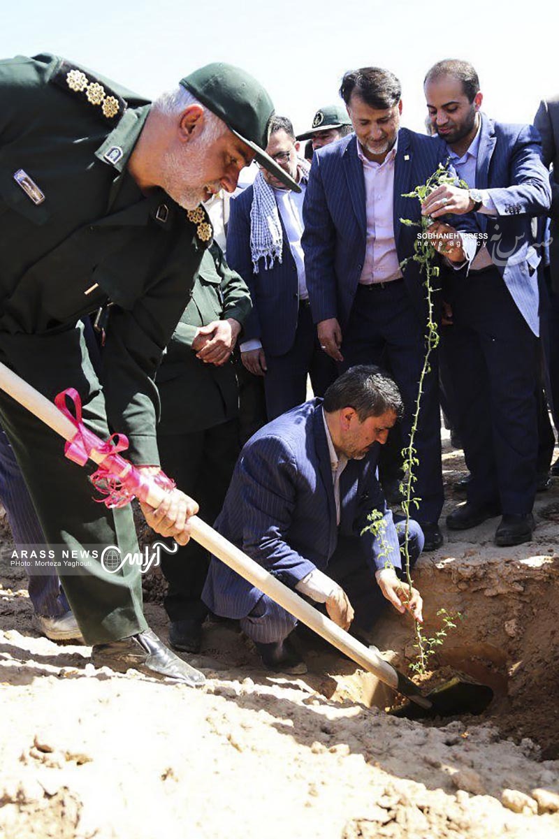 گزارش تصویری / احداث 1800 هکتار نهال کاری توسط بانک مهر اقتصاد خوزستان