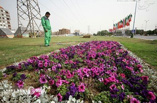 احداث باغ‌های صخره ای در مناطق هشت‌گانه اهواز