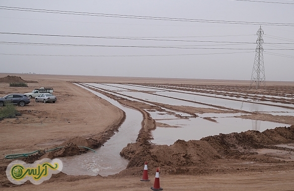مهندس علاقه بند: از 350 هزار هکتار کانون بحرانی 113 هزار هکتار در اولویت قرار دارند