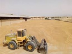 انتقال نخستین محموله گندم تولیدی خوزستان به سیلوها