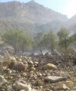 آتش سوزی جنگل های بالای تشان با همکاری مسئولان بحران خوزستان مهار شده است+تصاویر