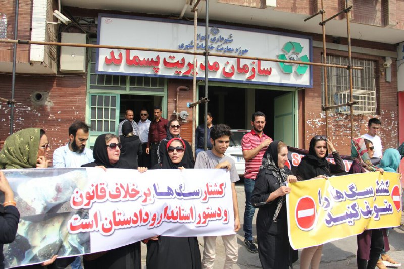 اعتراض حامیان حیوانات به کشتار سگ های بی صاحب در اهواز