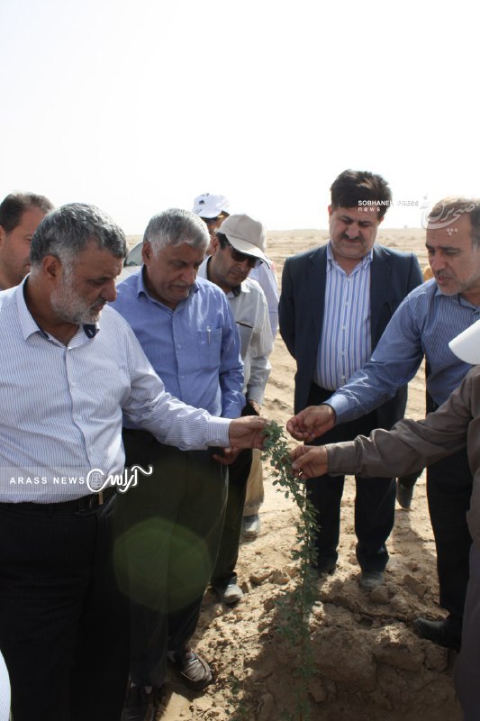 گزارش تصویری / بازدید وزیر جهاد کشاورزی و استاندار خوزستان از طرح مبارزه با کانون های ریزگرد در خوزستان