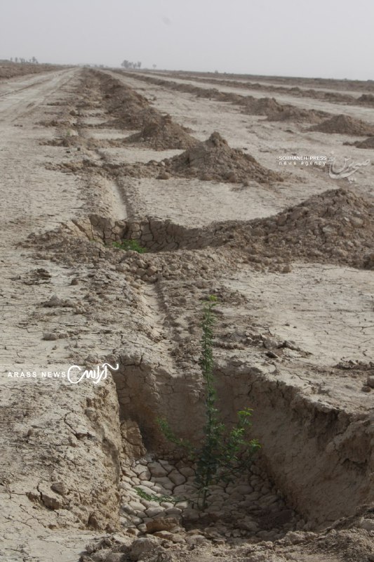 گزارش تصویری / بازدید وزیر جهاد کشاورزی و استاندار خوزستان از طرح مبارزه با کانون های ریزگرد در خوزستان