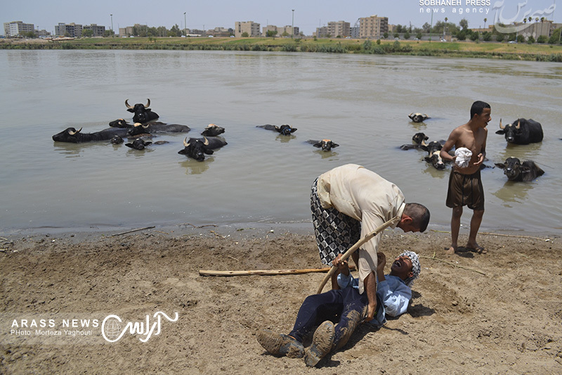 گزارش تصویری 1 / شنا در حاشیه رودخانه کارون گاومیش آباد برای فرار از گرمای طاقت‌فرسای این روزهای اهواز