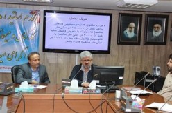دکتر سمان زاده: بیماری تب کریمه کنگو تحت کنترل است؛ توصیه میشود موارد مشکوک بلافاصله اطلاع داده شود